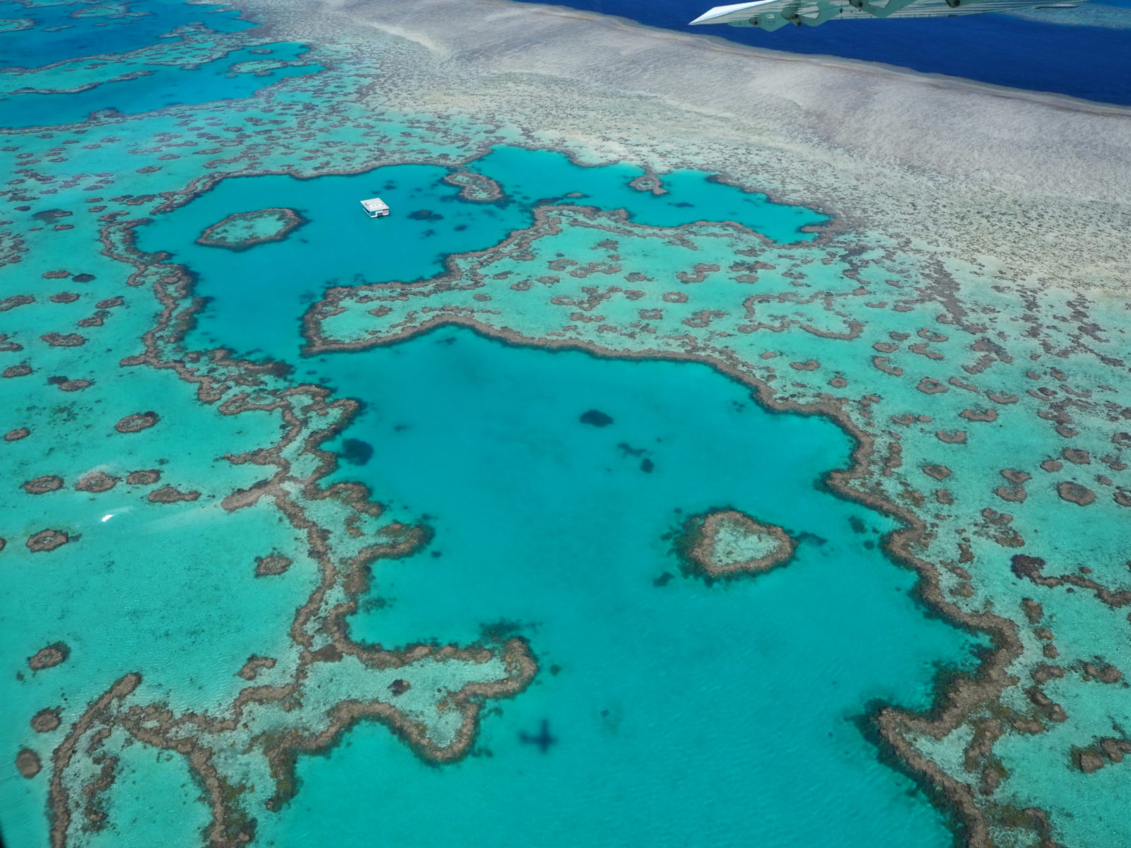 Photo barrière de corail Australie